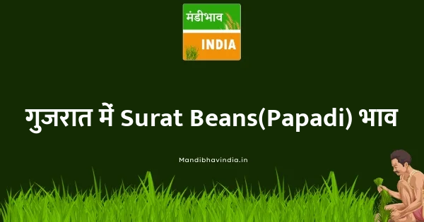 Surat Beans(Papadi) भाव